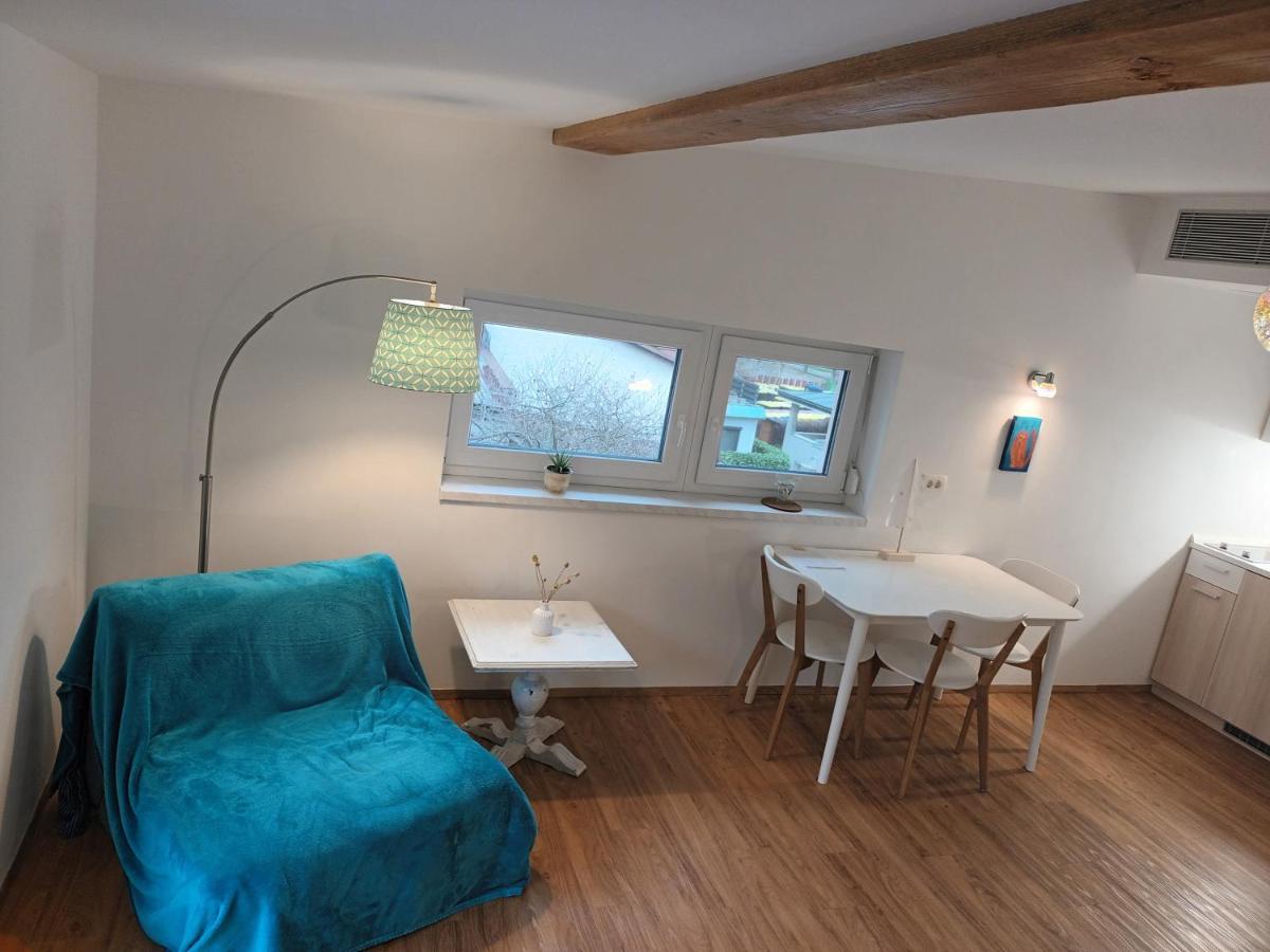 Accommodation Baron Lublana Zewnętrze zdjęcie