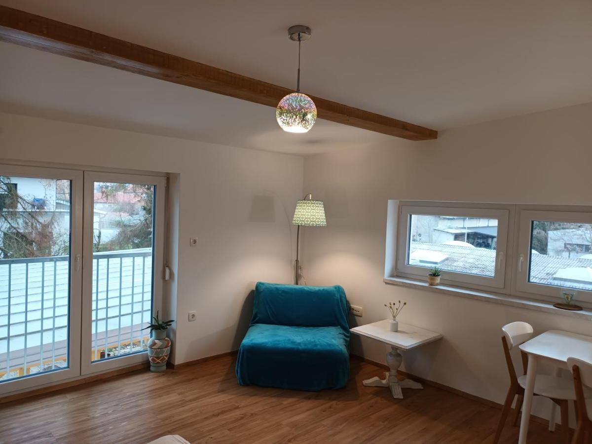 Accommodation Baron Lublana Zewnętrze zdjęcie