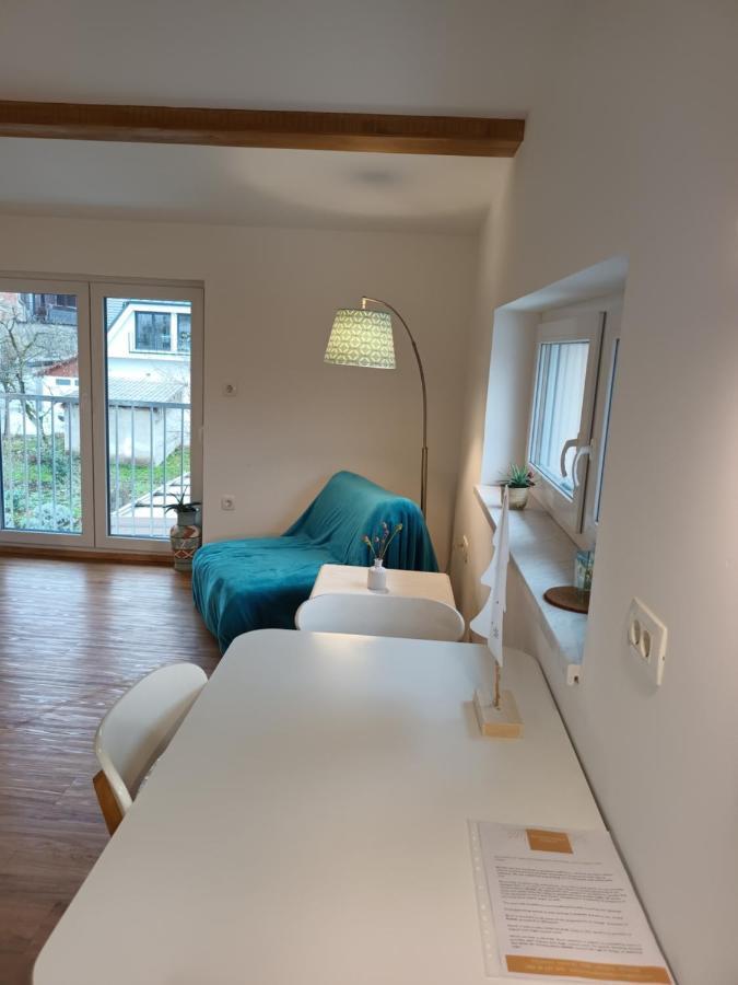 Accommodation Baron Lublana Zewnętrze zdjęcie